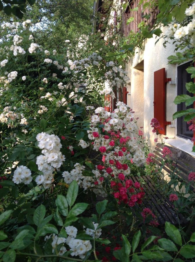 Haus Probst Am See Bed & Breakfast Schondorf am Ammersee Exterior photo